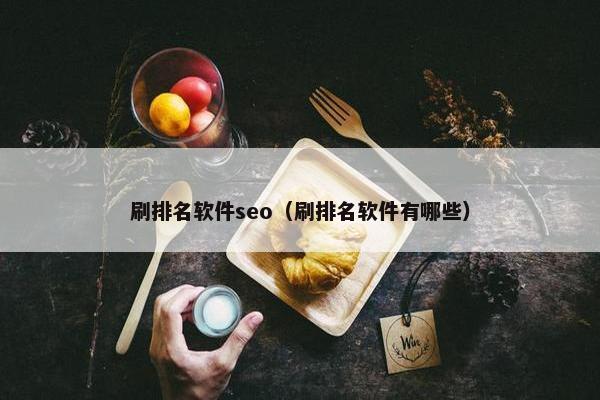 刷排名软件seo（刷排名软件有哪些）