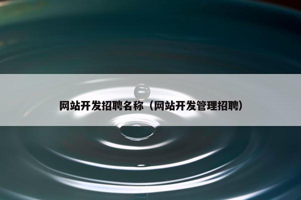 网站开发招聘名称（网站开发管理招聘）