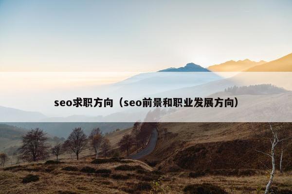 seo求职方向（seo前景和职业发展方向）