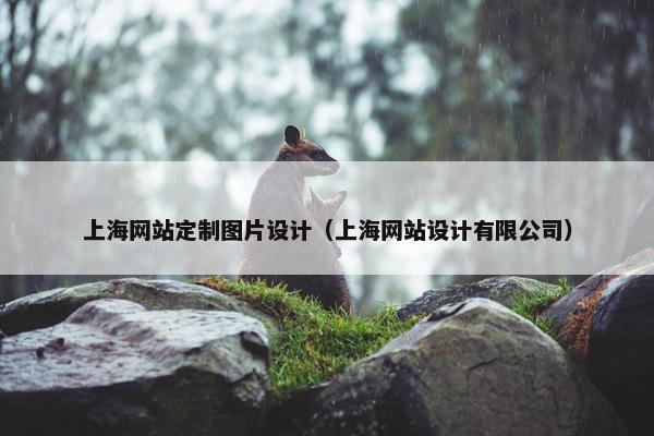 上海网站定制图片设计（上海网站设计有限公司）