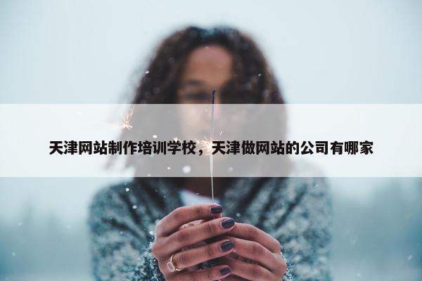 天津网站制作培训学校，天津做网站的公司有哪家