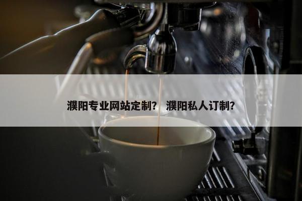 濮阳专业网站定制？ 濮阳私人订制？