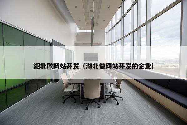 湖北做网站开发（湖北做网站开发的企业）