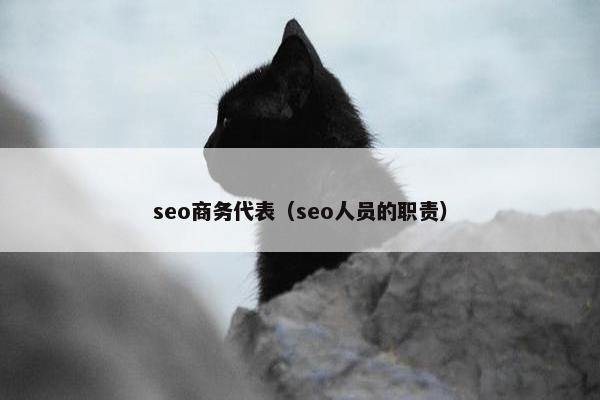 seo商务代表（seo人员的职责）