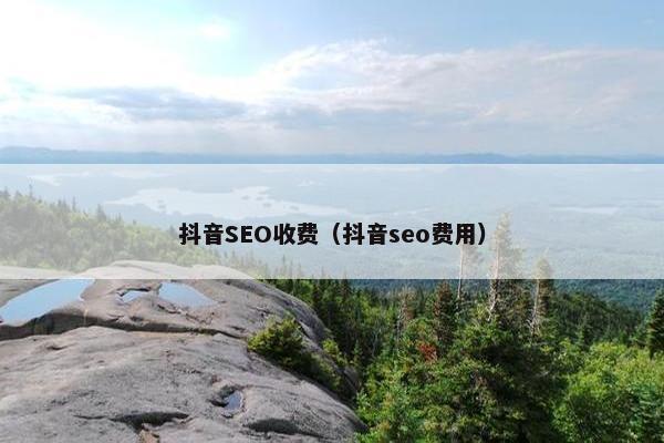 抖音SEO收费（抖音seo费用）