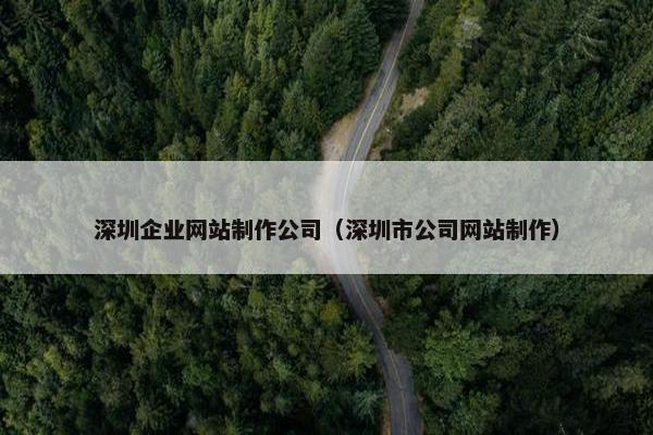 深圳企业网站制作公司（深圳市公司网站制作）