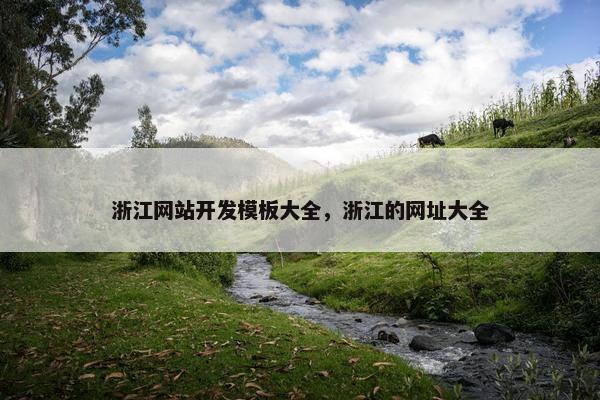 浙江网站开发模板大全，浙江的网址大全