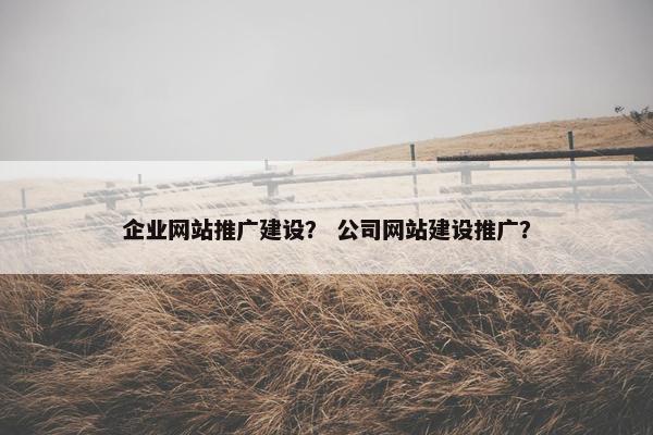 企业网站推广建设？ 公司网站建设推广？