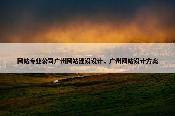 网站专业公司广州网站建设设计，广州网站设计方案