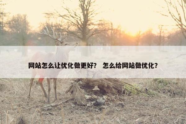 网站怎么让优化做更好？ 怎么给网站做优化？