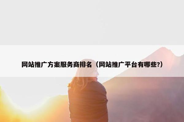 网站推广方案服务商排名（网站推广平台有哪些?）