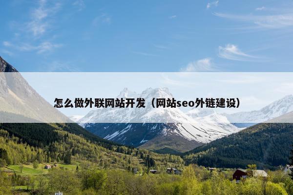 怎么做外联网站开发（网站seo外链建设）