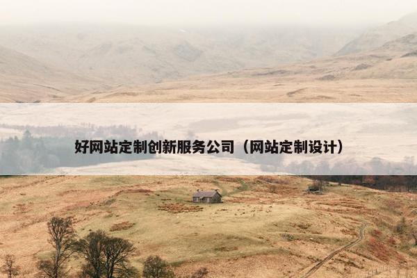 好网站定制创新服务公司（网站定制设计）