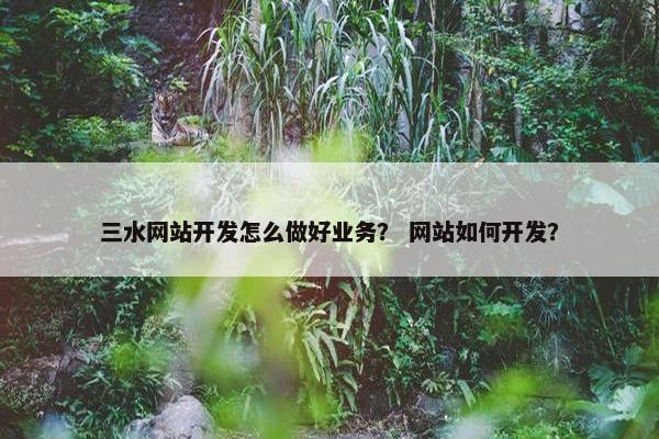 三水网站开发怎么做好业务？ 网站如何开发？