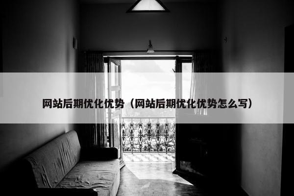 网站后期优化优势（网站后期优化优势怎么写）