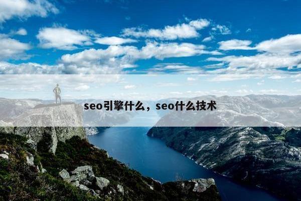 seo引擎什么，seo什么技术