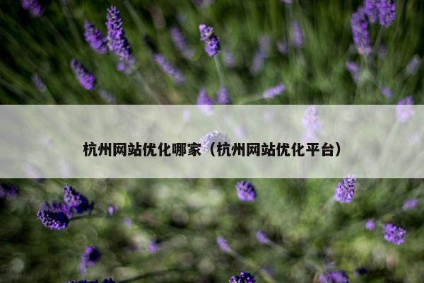 杭州网站优化哪家（杭州网站优化平台）