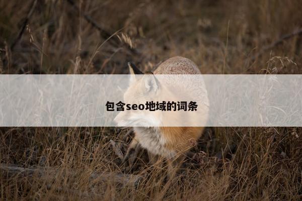 包含seo地域的词条