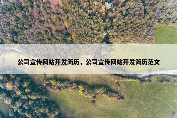 公司宣传网站开发简历，公司宣传网站开发简历范文