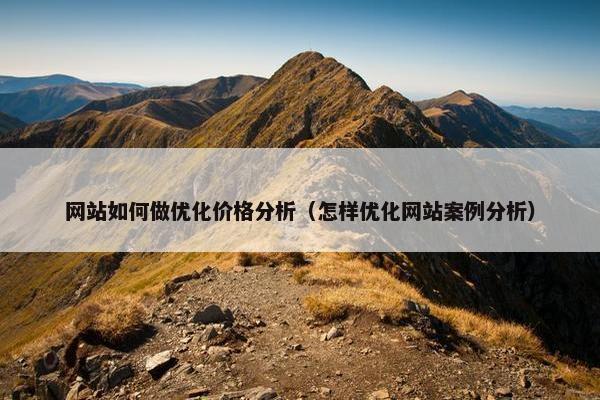 网站如何做优化价格分析（怎样优化网站案例分析）