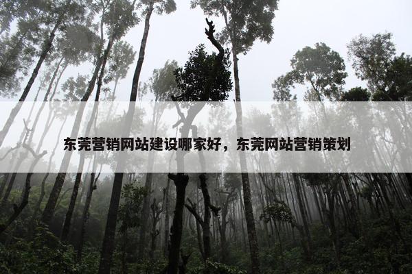 东莞营销网站建设哪家好，东莞网站营销策划