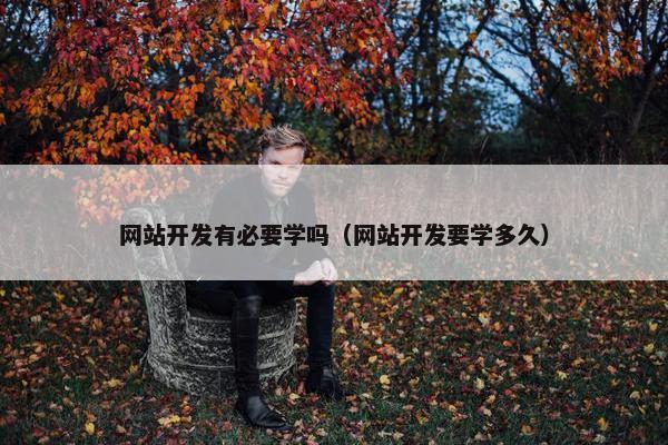 网站开发有必要学吗（网站开发要学多久）