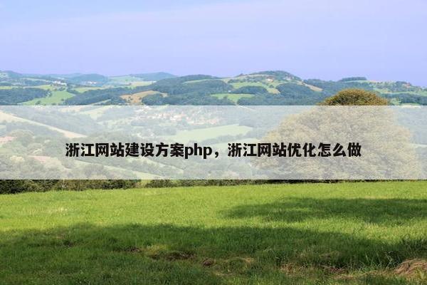 浙江网站建设方案php，浙江网站优化怎么做