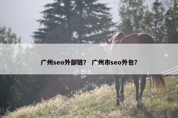 广州seo外部链？ 广州市seo外包？