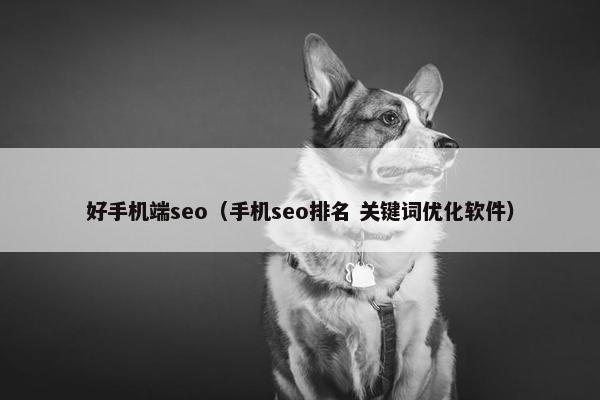 好手机端seo（手机seo排名 关键词优化软件）