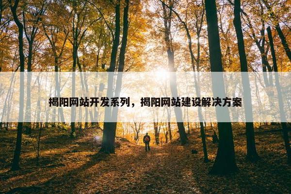 揭阳网站开发系列，揭阳网站建设解决方案