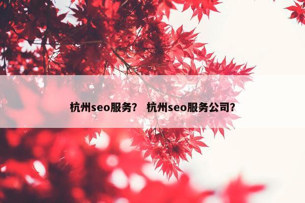 杭州seo服务？ 杭州seo服务公司？