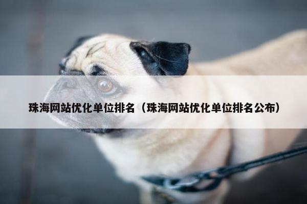 珠海网站优化单位排名（珠海网站优化单位排名公布）