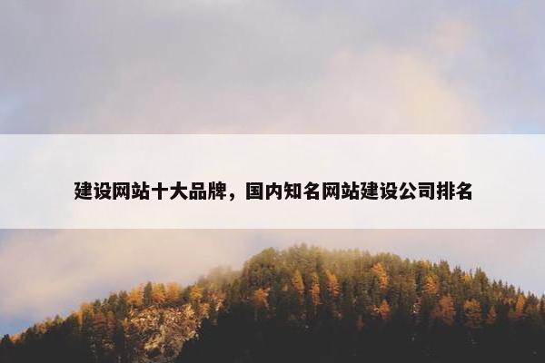 建设网站十大品牌，国内知名网站建设公司排名