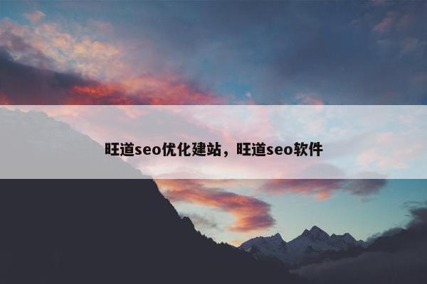 旺道seo优化建站，旺道seo软件