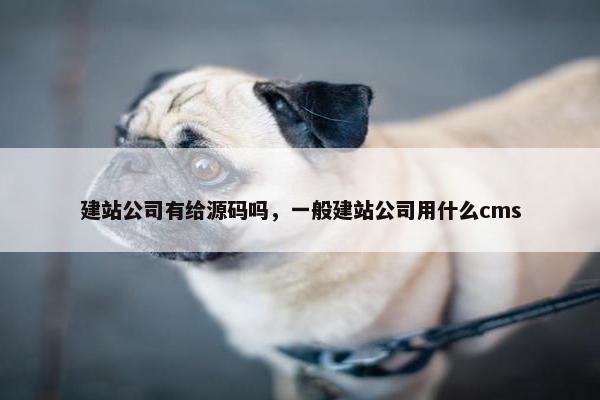建站公司有给源码吗，一般建站公司用什么cms