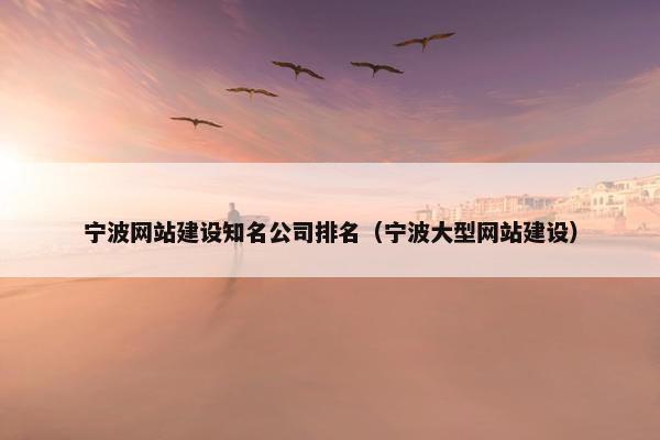 宁波网站建设知名公司排名（宁波大型网站建设）