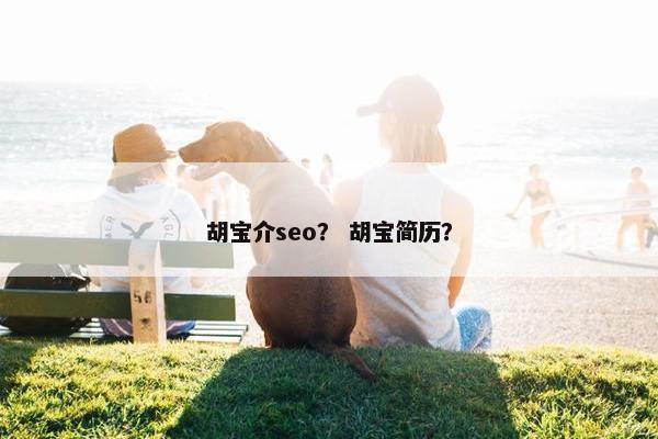 胡宝介seo？ 胡宝简历？
