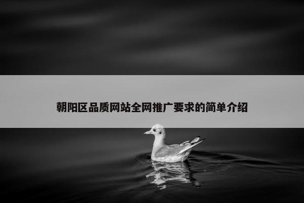 朝阳区品质网站全网推广要求的简单介绍