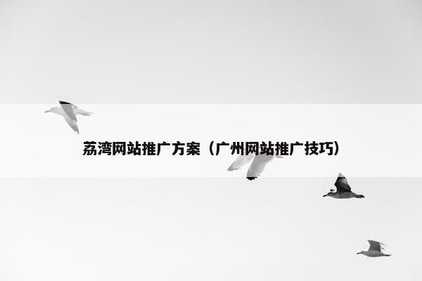 荔湾网站推广方案（广州网站推广技巧）