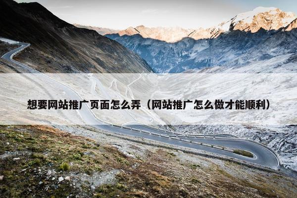 想要网站推广页面怎么弄（网站推广怎么做才能顺利）