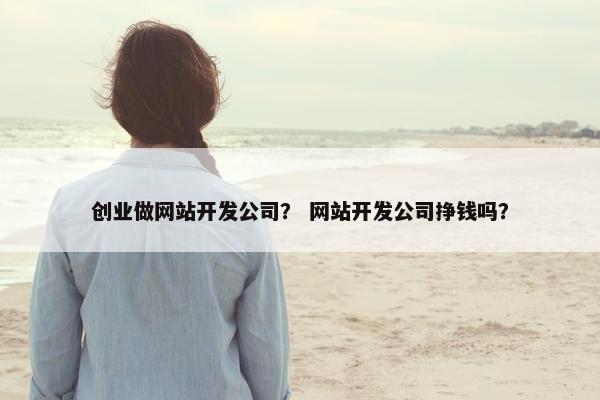 创业做网站开发公司？ 网站开发公司挣钱吗？