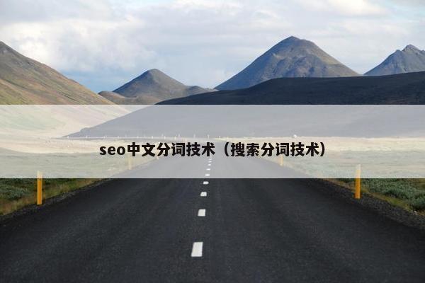 seo中文分词技术（搜索分词技术）
