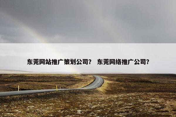 东莞网站推广策划公司？ 东莞网络推广公司？