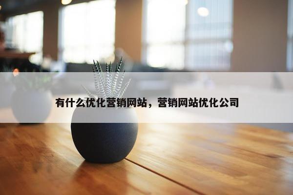 有什么优化营销网站，营销网站优化公司