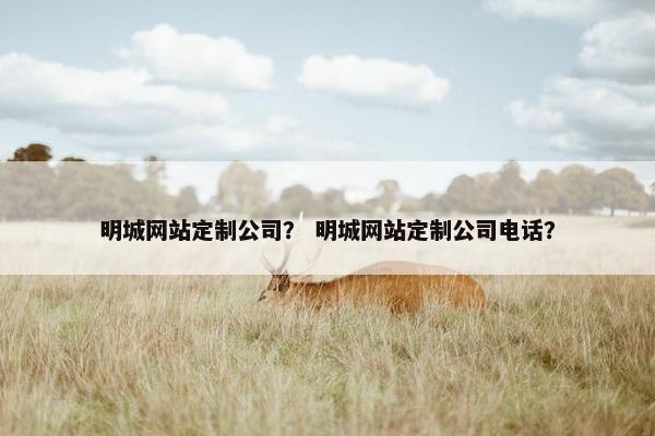 明城网站定制公司？ 明城网站定制公司电话？