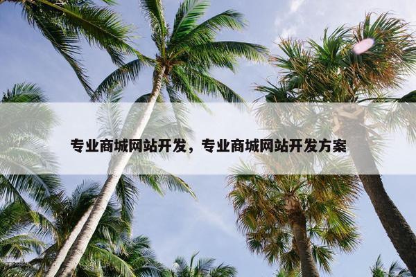 专业商城网站开发，专业商城网站开发方案