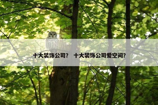十大装饰公司？ 十大装饰公司爱空间？