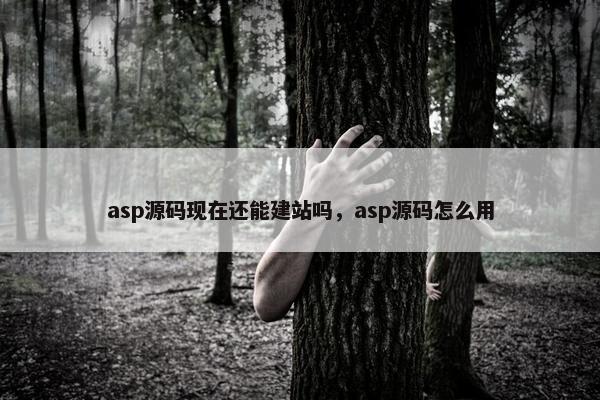 asp源码现在还能建站吗，asp源码怎么用