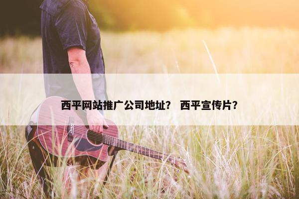 西平网站推广公司地址？ 西平宣传片？