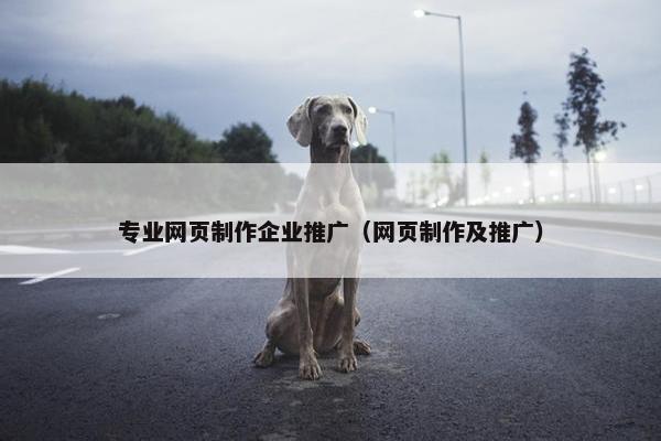 专业网页制作企业推广（网页制作及推广）
